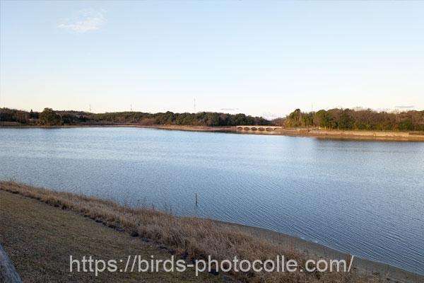 2月28日午前6時50分頃の勅使池
