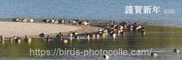 明けましておめでとうございます　令和8年